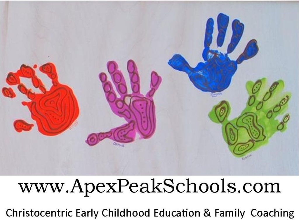 Apex Peak Schools