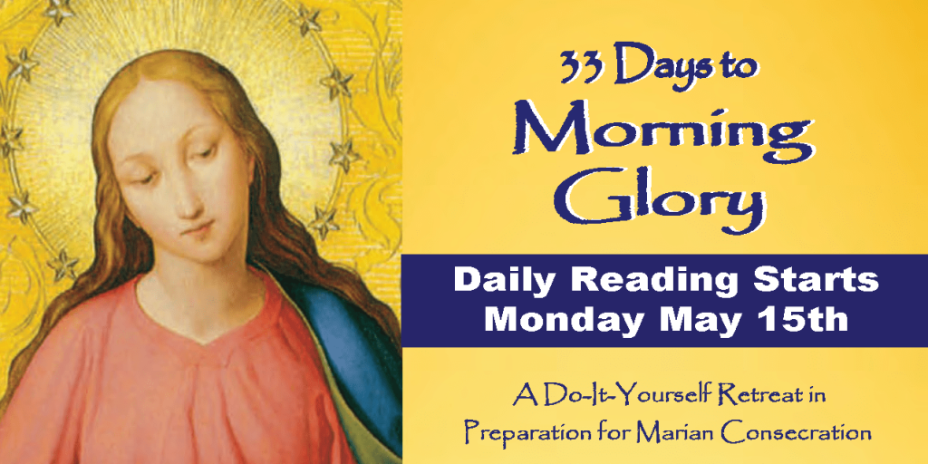 33 Days To Morning Glory: A Do-It-Yourself Retreat In Preparation Fo - VERY GOOD